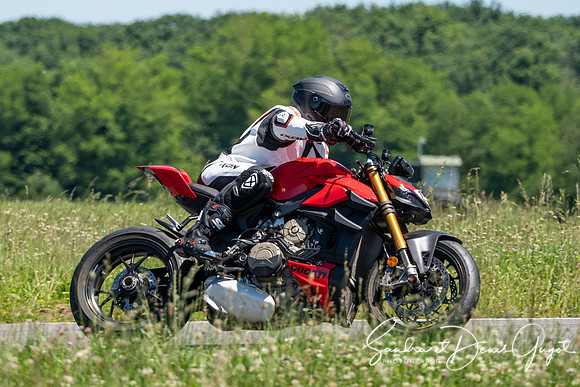 AcidTracks Bresse 2025 - SandraGuyot - Vert (296)