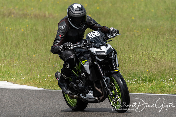 AcidTracks Bresse 2024 - DenisGuyot - Vert (37)