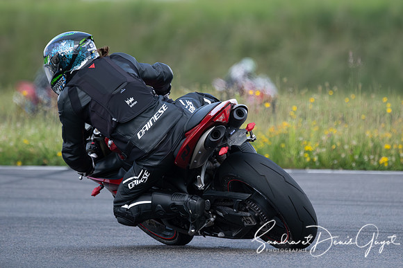 AcidTracks Bresse 2025 - DenisGuyot - Vert (4)