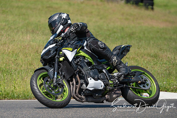 AcidTracks Bresse 2025 - SandraGuyot - Vert (120)