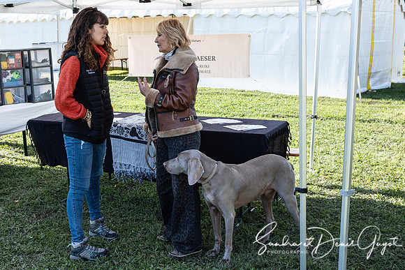 Entente Canine - DenisGuyot (12)
