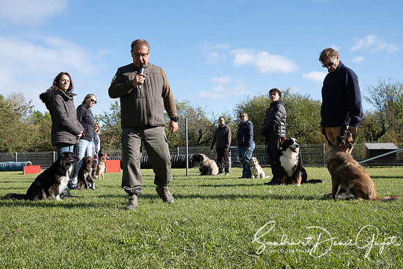 Entente Canine - DenisGuyot (16)