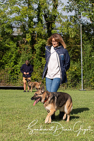 Entente Canine - DenisGuyot (23)