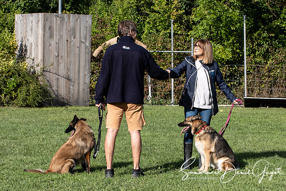 Entente Canine - DenisGuyot (25)