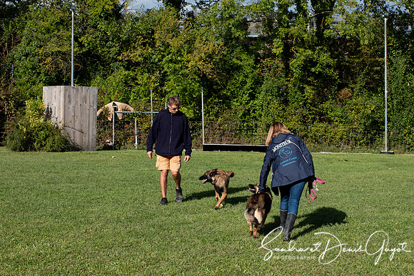 Entente Canine - DenisGuyot (24)