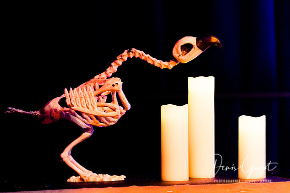 FMF 2019 - DenisGuyot (37)