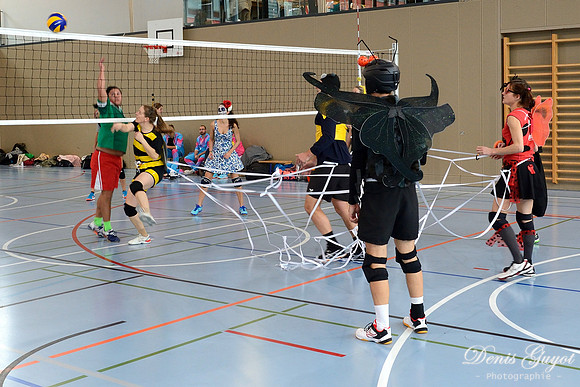 Tournoi de l'escalade de Volley - DenisGuyot (126)