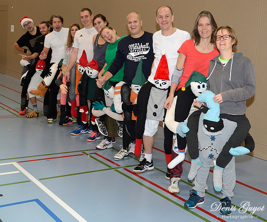 Tournoi de l'escalade de Volley - DenisGuyot (43)