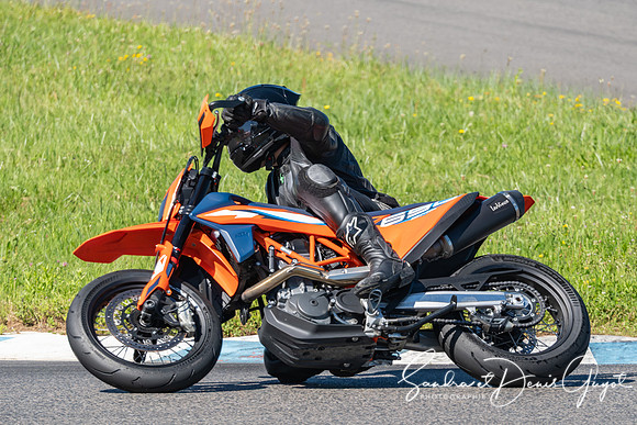 AcidTracks Bresse 2025 - SandraGuyot - Vert (221)