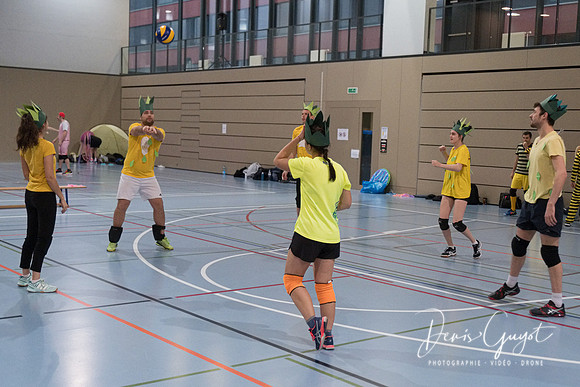 VBPLO - Tournoi escalade 2019 - DenisGuyot (129)