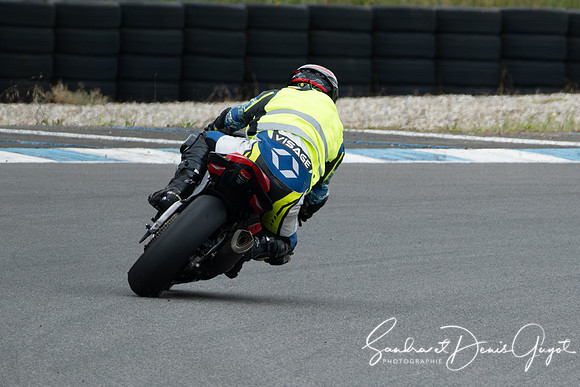 AcidTracks Bresse 2024 Juillet - DenisGuyot - Blanc (79)