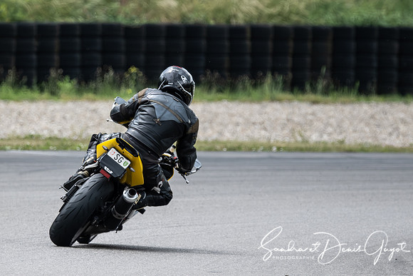 AcidTracks SpeedFactory - Anneau du Rhin- DenisGuyot - Jaune (96)