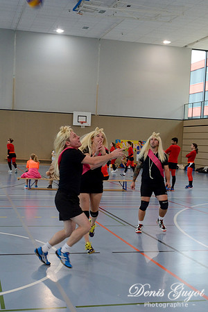 Tournoi de l'escalade de Volley - DenisGuyot (77)