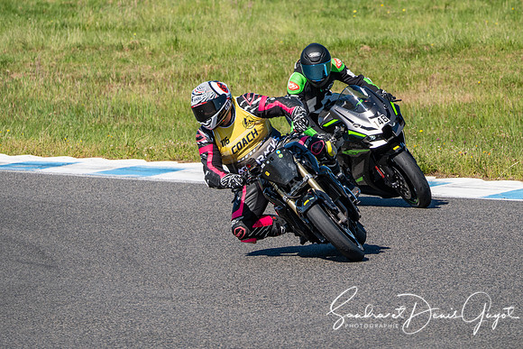 AcidTracks Bresse 2025 - SandraGuyot - Vert (206)