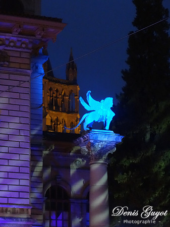 Red Bull Crashed Ice - Lausanne 2013 (91)