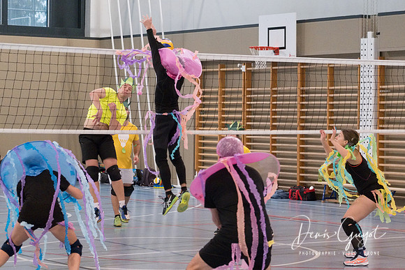 VBPLO - Tournoi escalade 2019 - DenisGuyot (80)