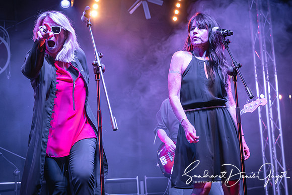 Tournesoul - Lancy - SandraGuyot (1)