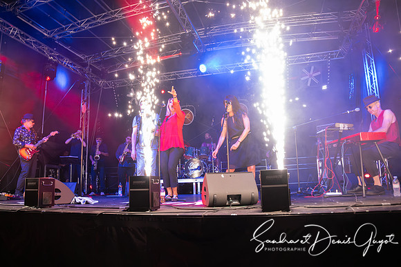 Tournesoul - Lancy - DenisGuyot (24)