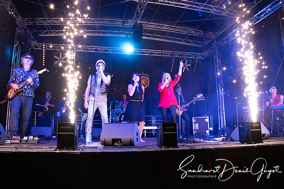 Tournesoul - Lancy - DenisGuyot (58)