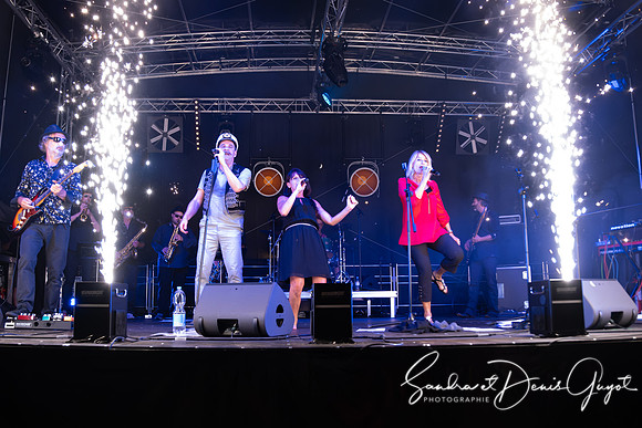 Tournesoul - Lancy - DenisGuyot (59)