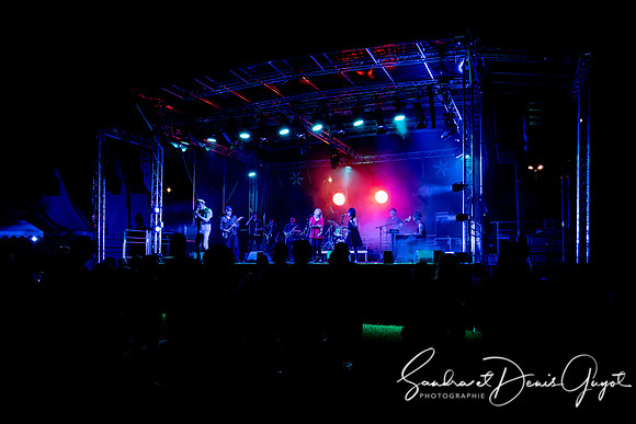 Tournesoul - Lancy - DenisGuyot (62)