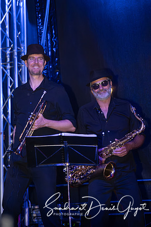 Tournesoul - Lancy - DenisGuyot (65)