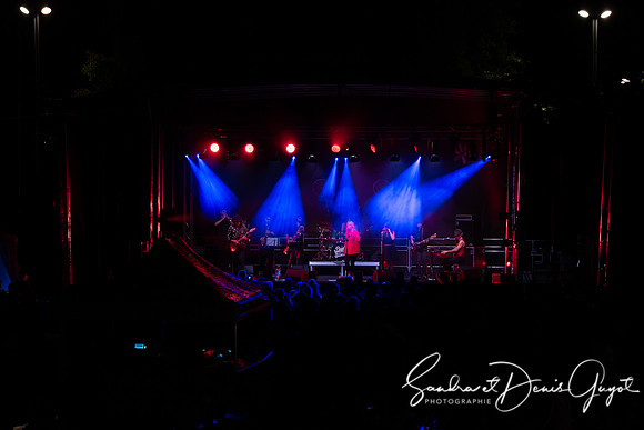 Tournesoul - Lancy - DenisGuyot (95)