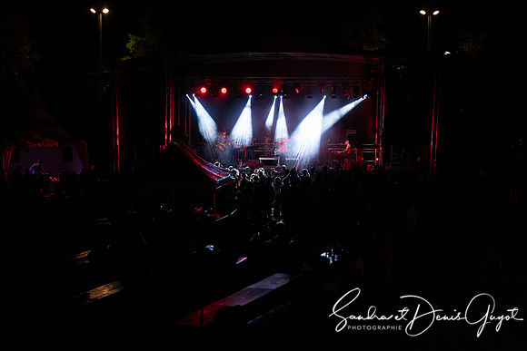 Tournesoul - Lancy - DenisGuyot (96)