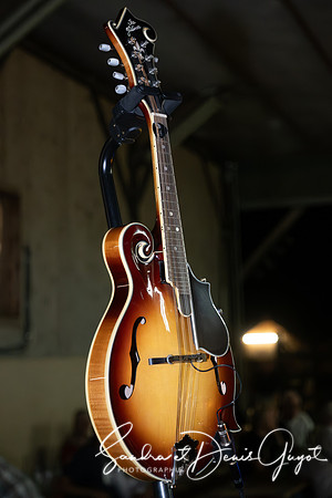Darwyn - Country & Blues Music - DenisGuyot (145)