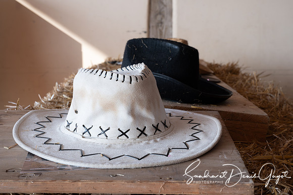 Darwyn - Country & Blues Music - DenisGuyot (24)