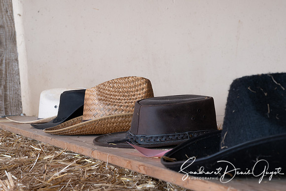 Darwyn - Country & Blues Music - DenisGuyot (26)