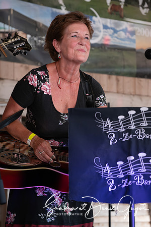 Darwyn - Country & Blues Music - DenisGuyot (47)