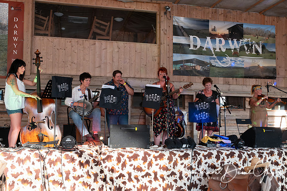 Darwyn - Country & Blues Music - DenisGuyot (65)