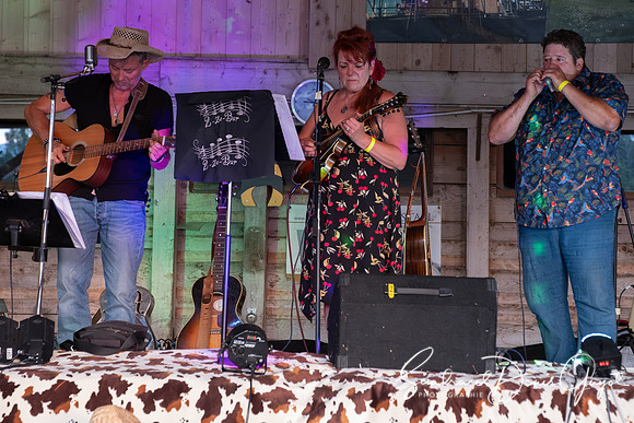 Darwyn - Country & Blues Music - DenisGuyot (70)