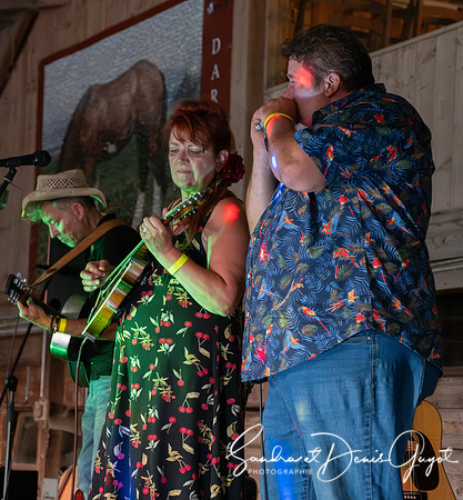 Darwyn - Country & Blues Music - DenisGuyot (72)