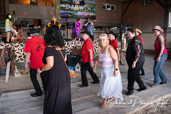 Darwyn - Country & Blues Music - DenisGuyot (75)