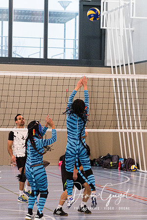 VBPLO - Tournoi escalade 2019 - DenisGuyot (67)