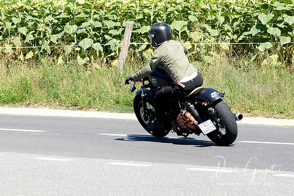 TEM CH RideShaper - DenisGuyot (60)