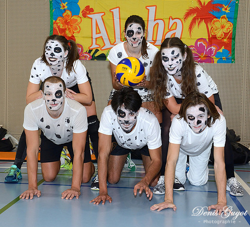 Tournoi de l'escalade de Volley - DenisGuyot (100)