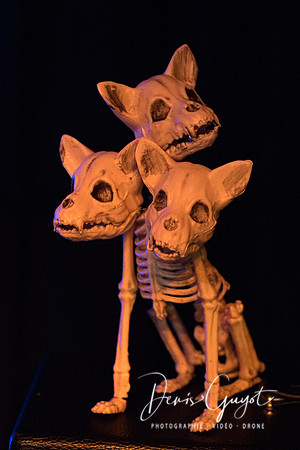 FMF 2019 - DenisGuyot (39)