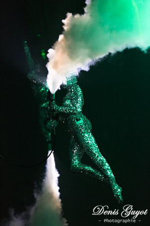 Sensation 2012 ID&T (33)