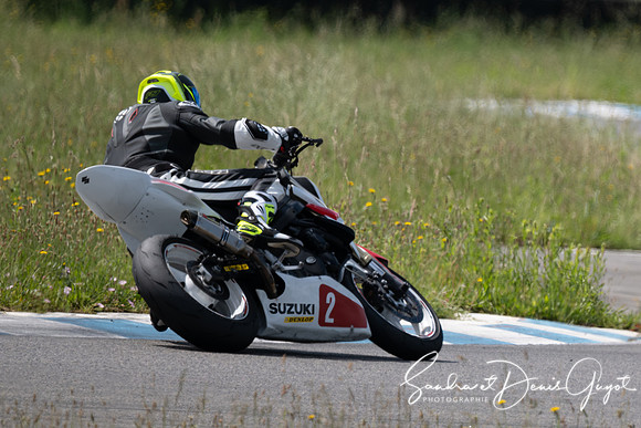 AcidTracks Bresse 2025 - DenisGuyot - Vert (59)