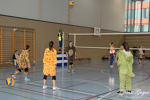 Tournoi de l'escalade de Volley - DenisGuyot (123)