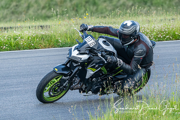 AcidTracks Bresse 2025 - SandraGuyot - Vert (9)