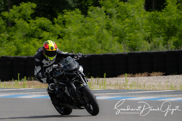 AcidTracks Bresse 2024 - DenisGuyot - Vert (66)