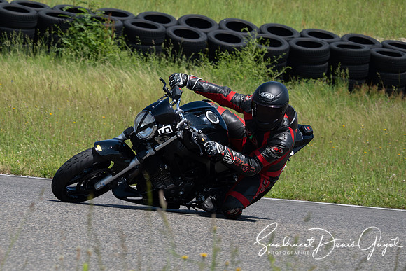 AcidTracks Bresse 2024 - DenisGuyot - Vert (132)