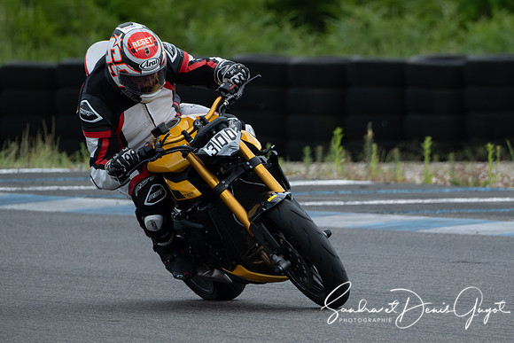 AcidTracks Bresse 2024 - DenisGuyot - Vert (77)