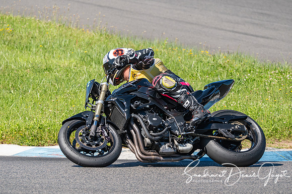 AcidTracks Bresse 2025 - SandraGuyot - Vert (231)