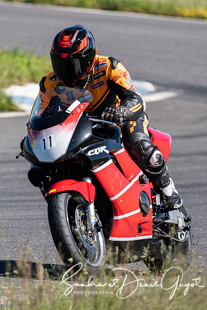 AcidTracks Bresse 2025 - DenisGuyot - Vert (144)