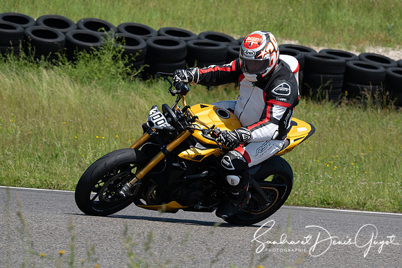 AcidTracks Bresse 2024 - DenisGuyot - Vert (140)